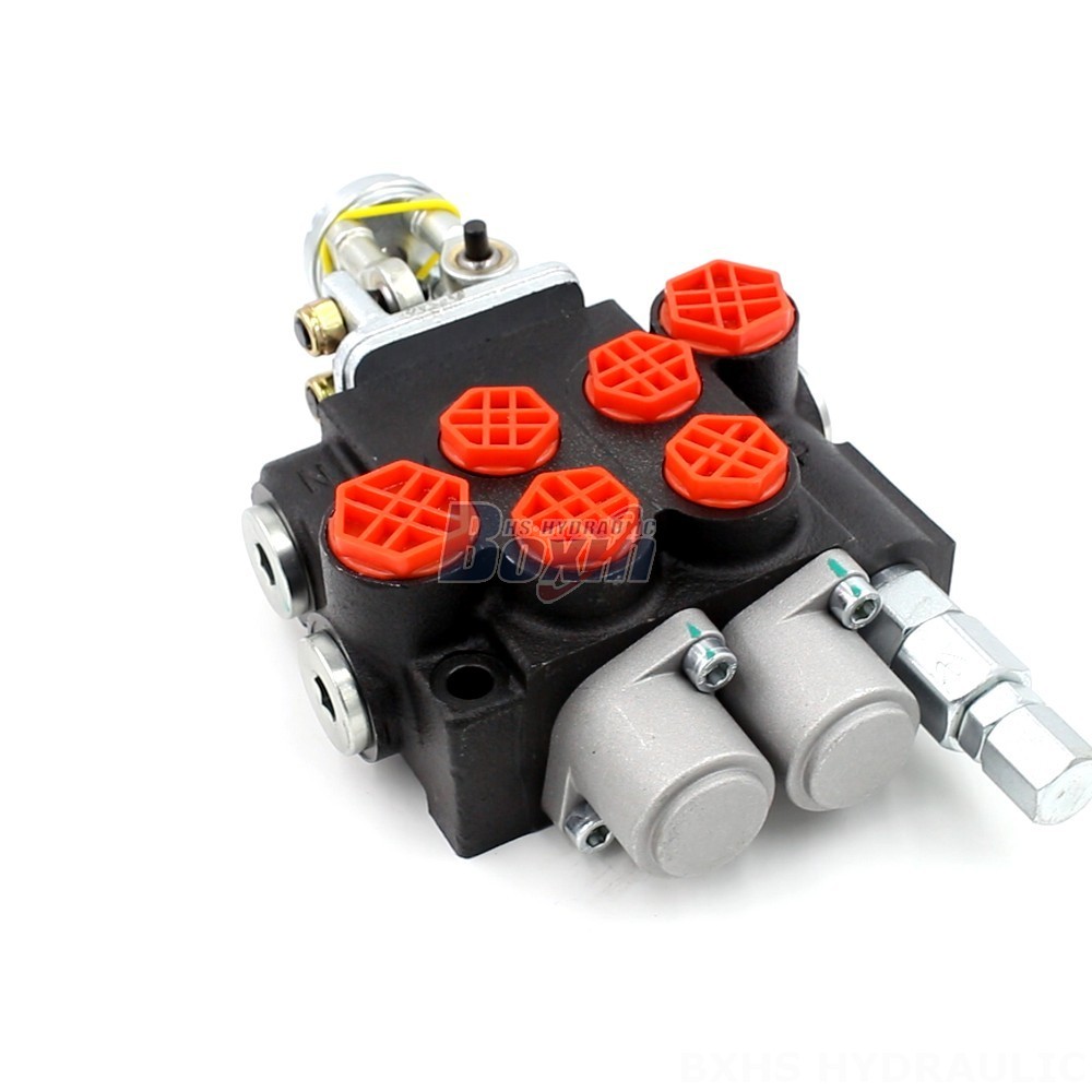 Monoblock Directional Valve - P40-2OT Series | Wholesale & OEM main image